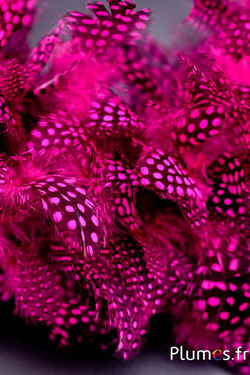 Boa en plumes de pintade - Ø 10-12 cm - fuchsia